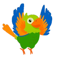 Rikki der Sprachpapagei