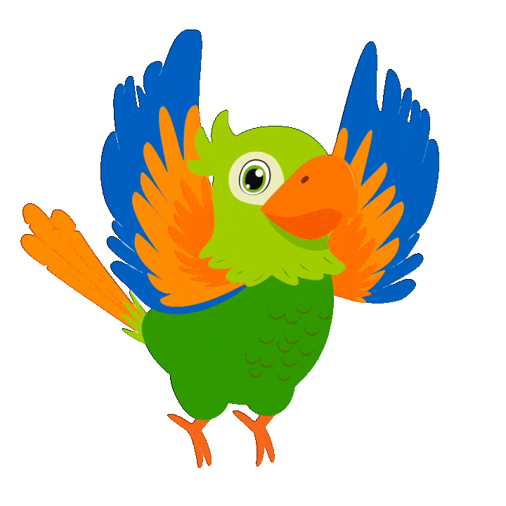 rikki_fly_top