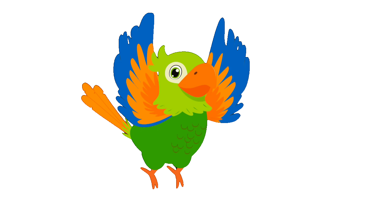 rikkifly2